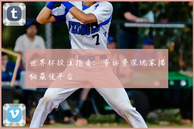 世界杯投注指南：专访资深玩家揭秘最佳平台