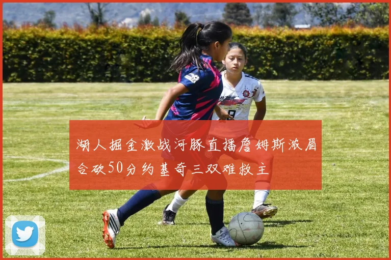 湖人掘金激战河豚直播詹姆斯浓眉合砍50分约基奇三双难救主