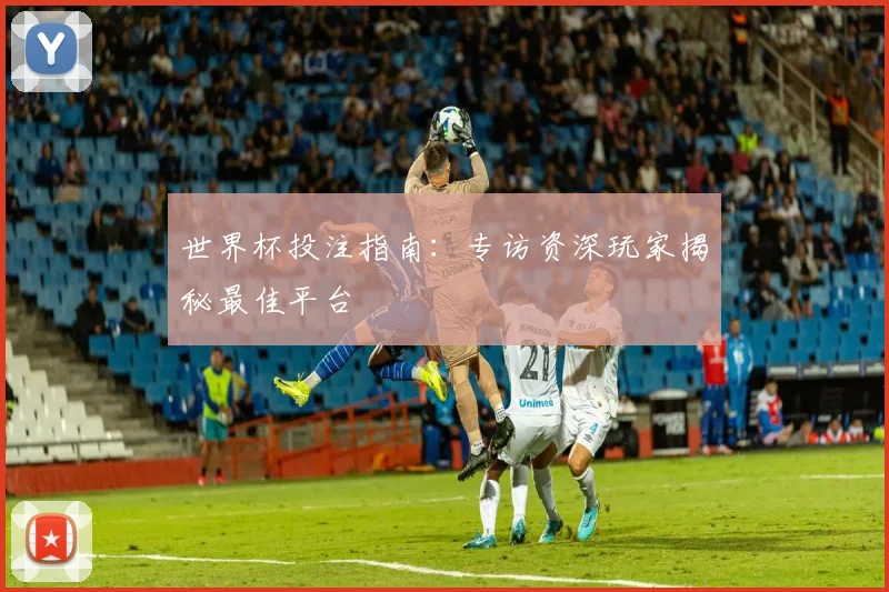 世界杯投注指南：专访资深玩家揭秘最佳平台