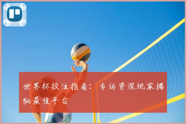 世界杯投注指南:专访资深玩家揭秘最佳平台