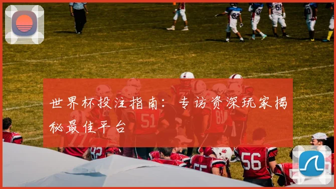 世界杯投注指南:专访资深玩家揭秘最佳平台