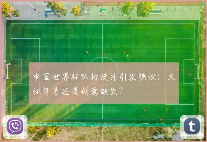 中国世界杯队标设计引发热议：文化符号还是创意缺失？