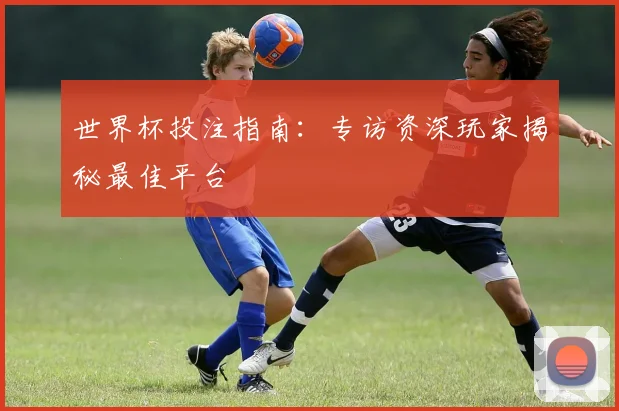 世界杯投注指南：专访资深玩家揭秘最佳平台