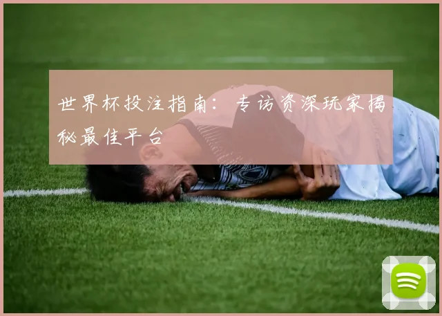 世界杯投注指南：专访资深玩家揭秘最佳平台