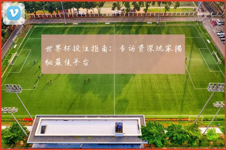 世界杯投注指南:专访资深玩家揭秘最佳平台