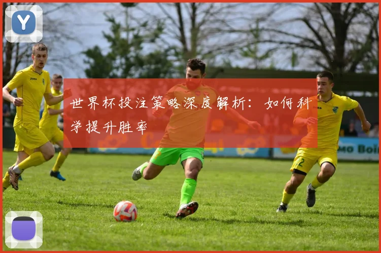 世界杯投注策略深度解析:如何科学提升胜率