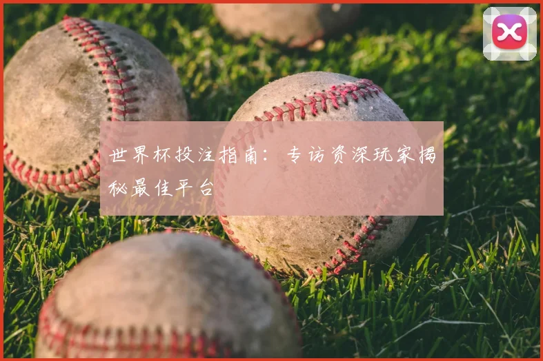世界杯投注指南:专访资深玩家揭秘最佳平台