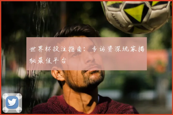 世界杯投注指南：专访资深玩家揭秘最佳平台