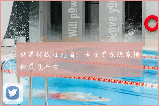 世界杯投注指南：专访资深玩家揭秘最佳平台