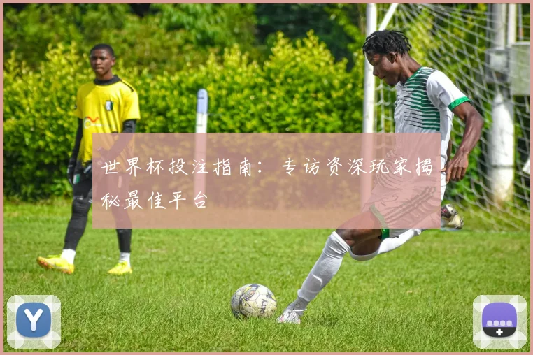 世界杯投注指南:专访资深玩家揭秘最佳平台