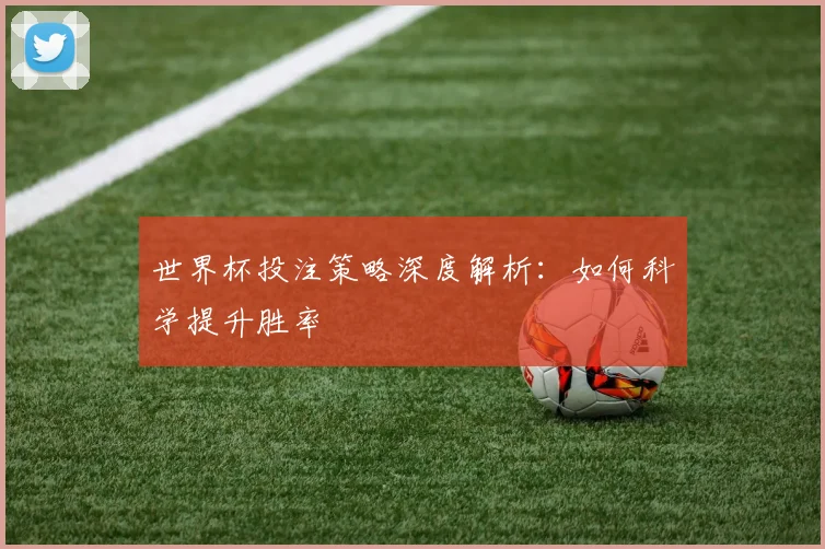 世界杯投注策略深度解析：如何科学提升胜率