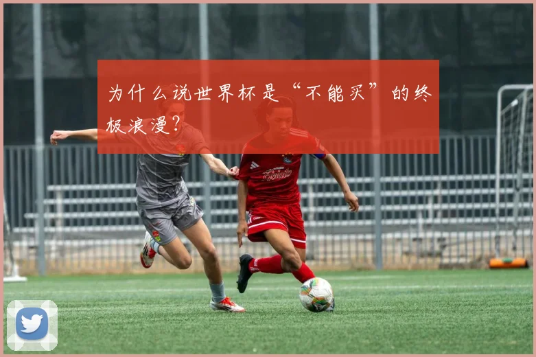 为什么说世界杯是“不能买”的终极浪漫？