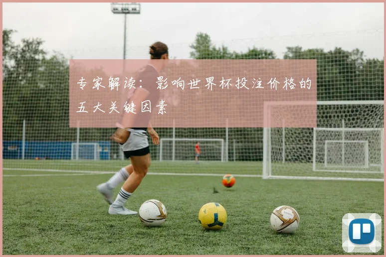 专家解读:影响世界杯投注价格的五大关键因素
