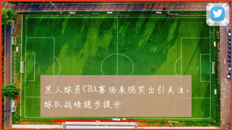 黑人球员CBA赛场表现突出引关注，球队战绩稳步提升