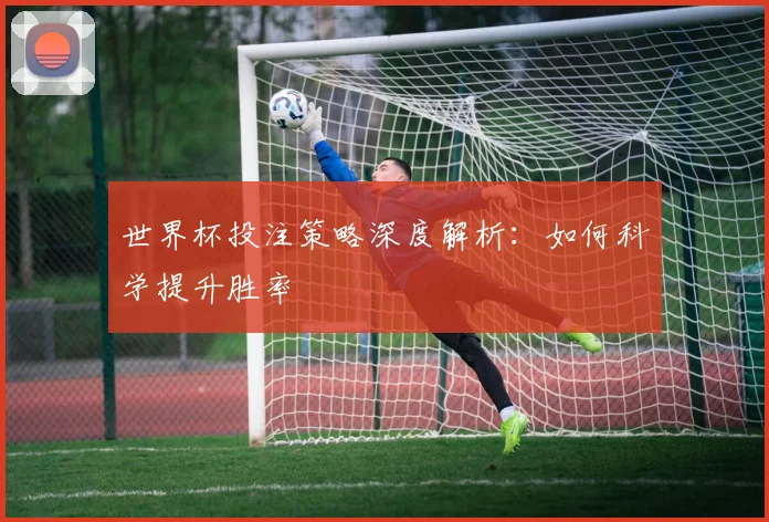 世界杯投注策略深度解析:如何科学提升胜率