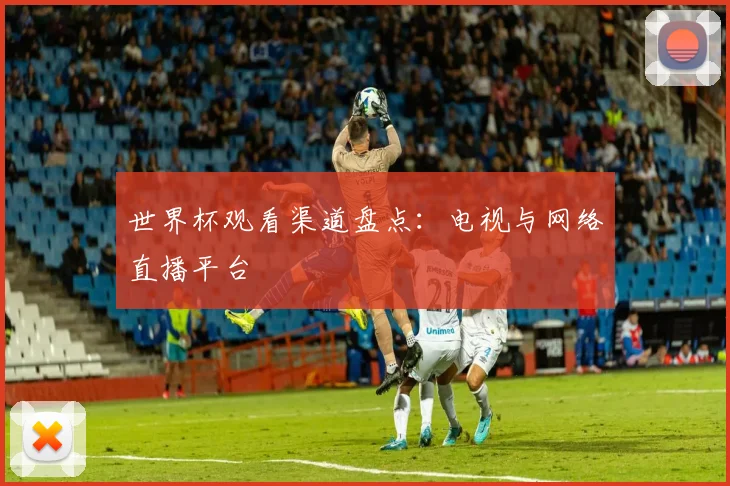 世界杯观看渠道盘点：电视与网络直播平台
