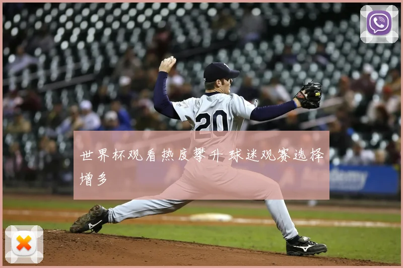 世界杯观看热度攀升 球迷观赛选择增多