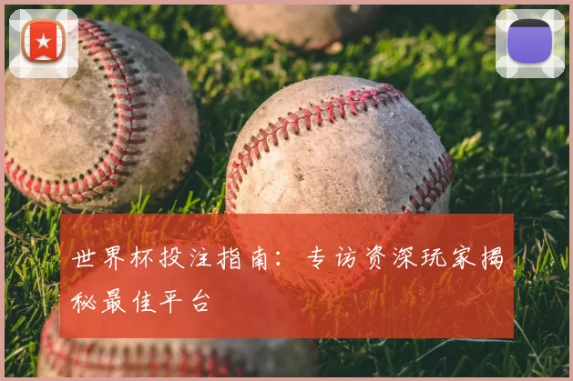 世界杯投注指南：专访资深玩家揭秘最佳平台