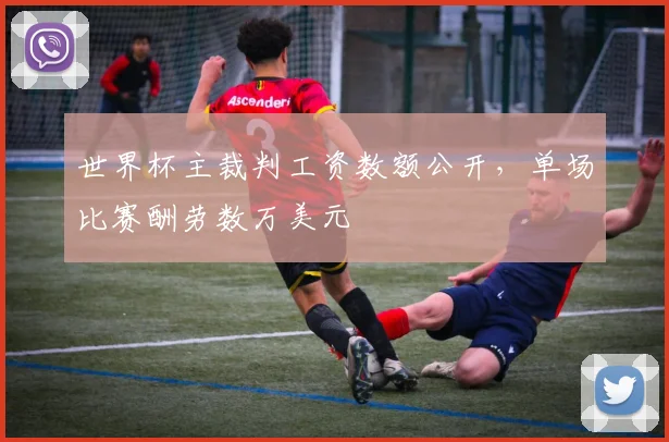 世界杯主裁判工资数额公开,单场比赛酬劳数万美元
