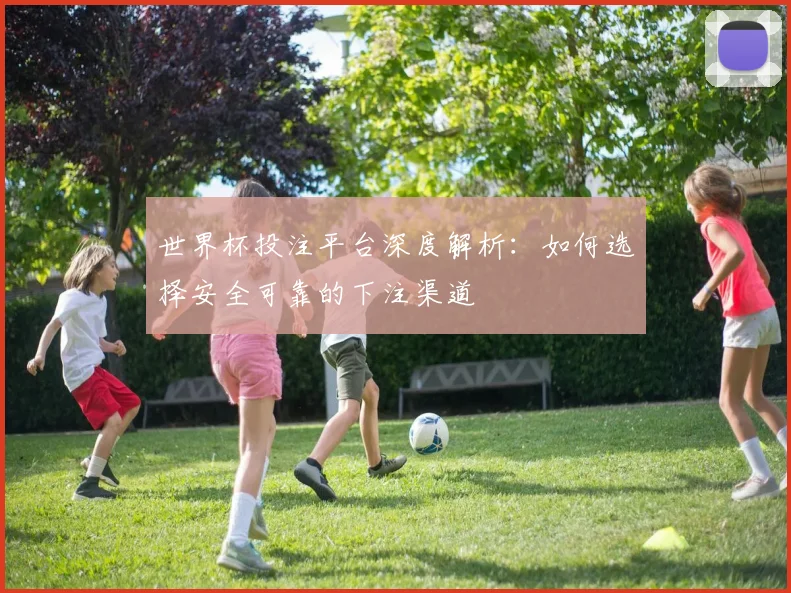 世界杯投注平台深度解析:如何选择安全可靠的下注渠道