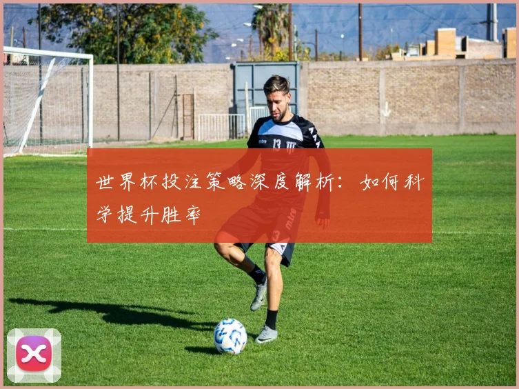 世界杯投注策略深度解析：如何科学提升胜率