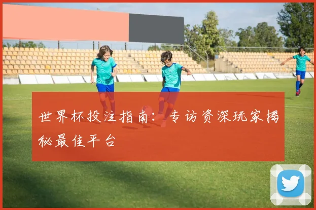 世界杯投注指南:专访资深玩家揭秘最佳平台