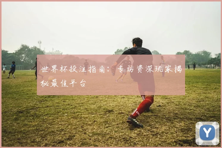 世界杯投注指南：专访资深玩家揭秘最佳平台