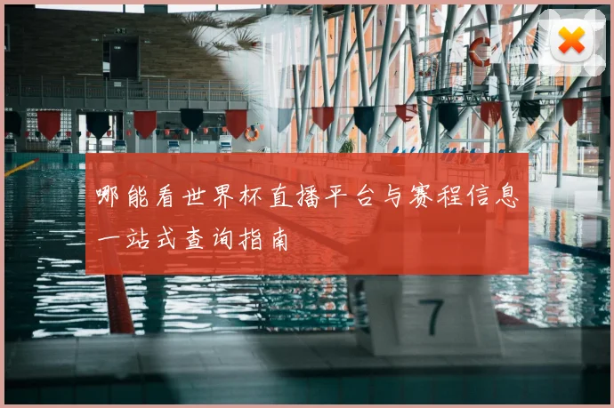 哪能看世界杯直播平台与赛程信息一站式查询指南