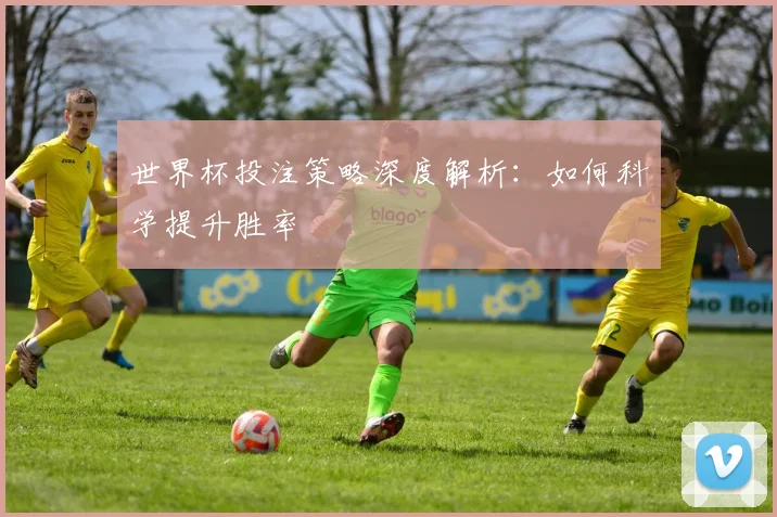 世界杯投注策略深度解析:如何科学提升胜率