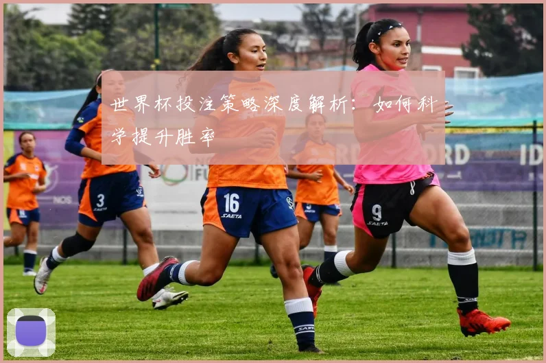 世界杯投注策略深度解析:如何科学提升胜率