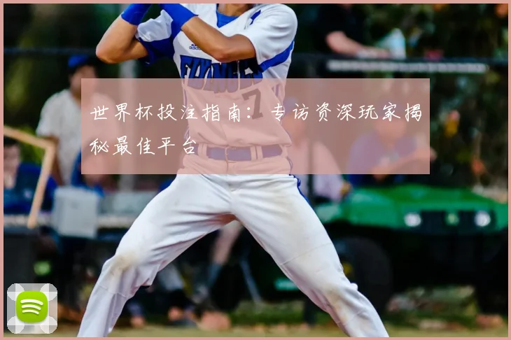 世界杯投注指南:专访资深玩家揭秘最佳平台