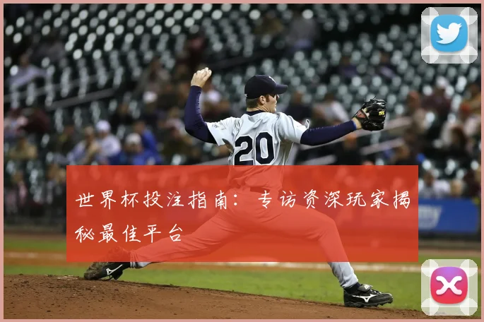世界杯投注指南：专访资深玩家揭秘最佳平台