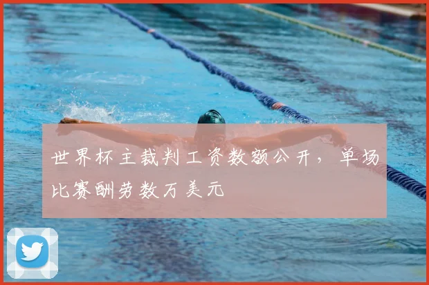 世界杯主裁判工资数额公开,单场比赛酬劳数万美元