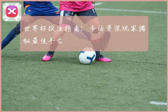 世界杯投注指南：专访资深玩家揭秘最佳平台