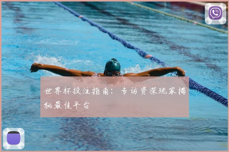 世界杯投注指南:专访资深玩家揭秘最佳平台