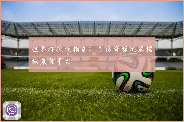 世界杯投注指南:专访资深玩家揭秘最佳平台