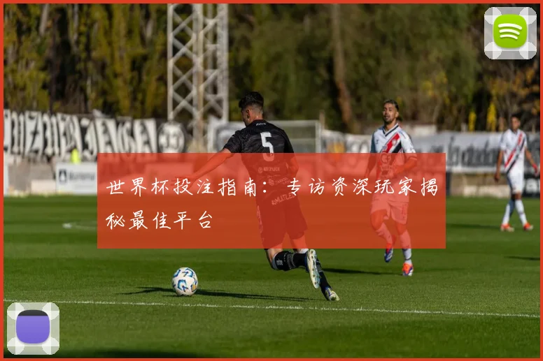 世界杯投注指南：专访资深玩家揭秘最佳平台