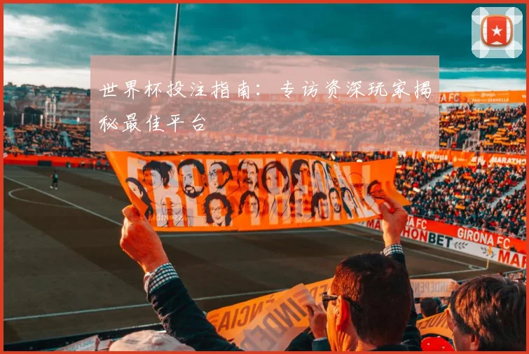 世界杯投注指南:专访资深玩家揭秘最佳平台