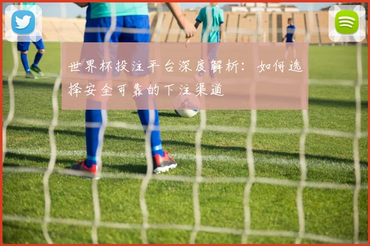 世界杯投注平台深度解析:如何选择安全可靠的下注渠道