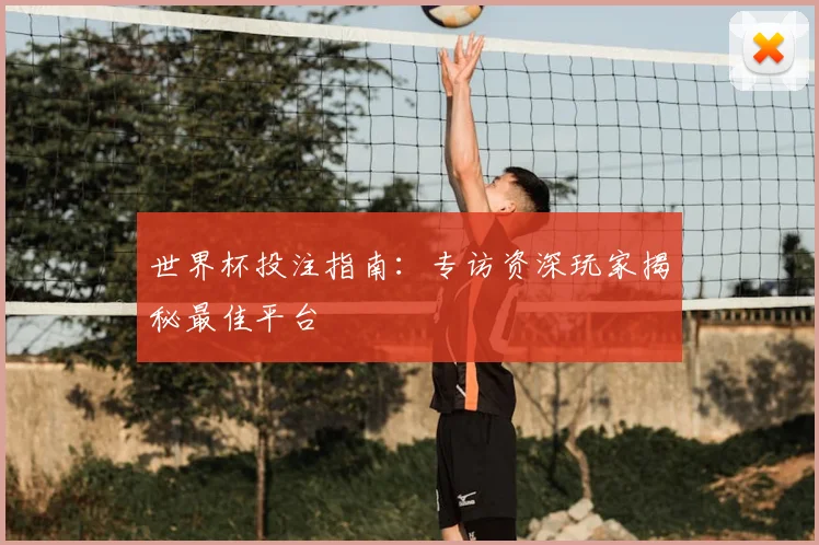 世界杯投注指南：专访资深玩家揭秘最佳平台