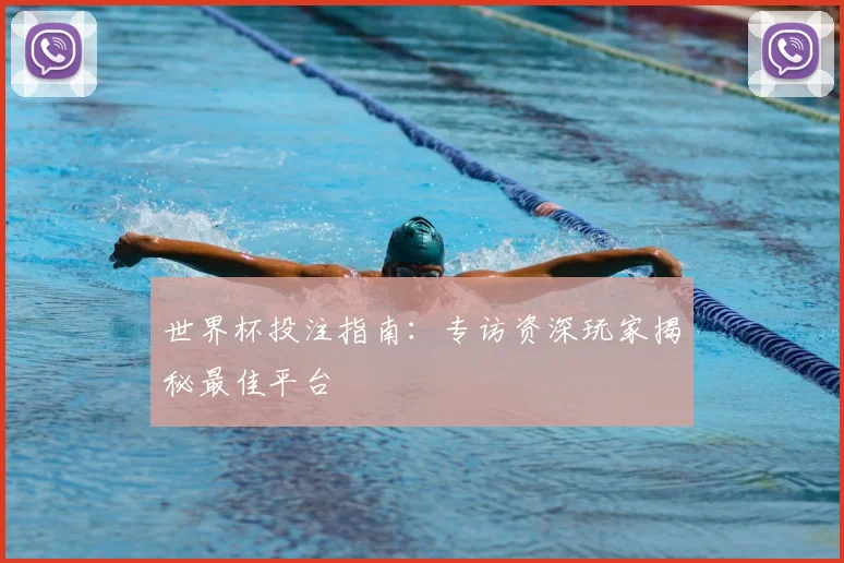 世界杯投注指南:专访资深玩家揭秘最佳平台