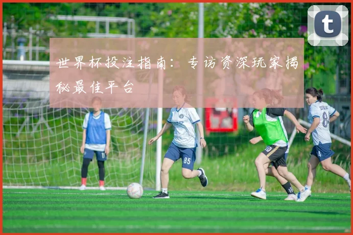 世界杯投注指南:专访资深玩家揭秘最佳平台