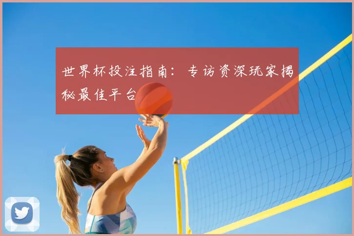 世界杯投注指南：专访资深玩家揭秘最佳平台