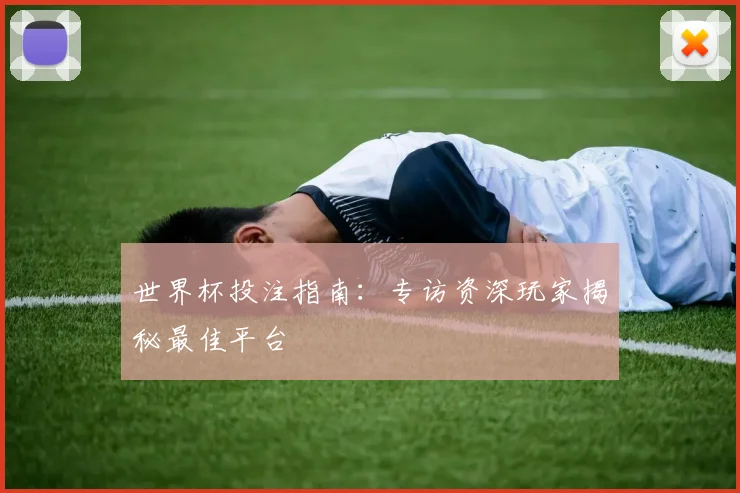 世界杯投注指南:专访资深玩家揭秘最佳平台