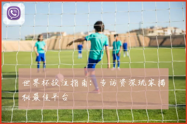 世界杯投注指南：专访资深玩家揭秘最佳平台