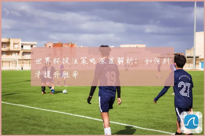 世界杯投注策略深度解析:如何科学提升胜率