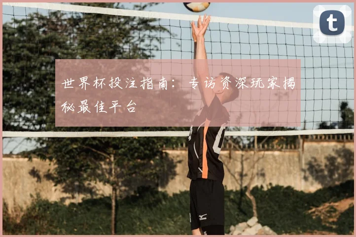 世界杯投注指南：专访资深玩家揭秘最佳平台