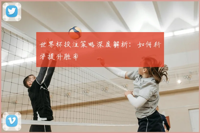 世界杯投注策略深度解析：如何科学提升胜率