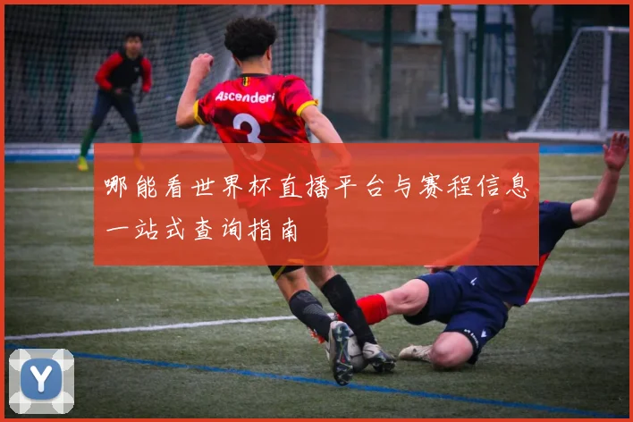哪能看世界杯直播平台与赛程信息一站式查询指南