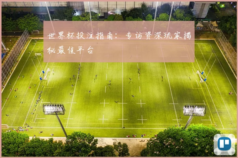 世界杯投注指南：专访资深玩家揭秘最佳平台